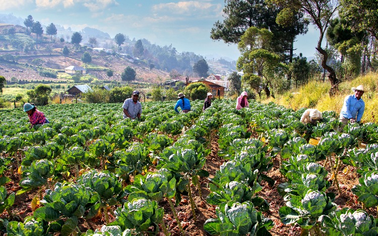 Proyecto argentino de micro préstamos para el Mercosur