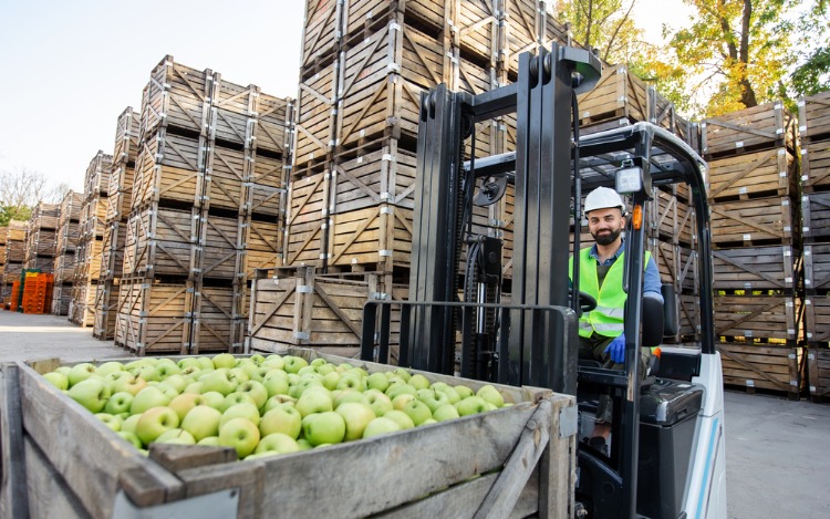 Innovación, sostenibilidad e integración. Geopolítica de los alimentos