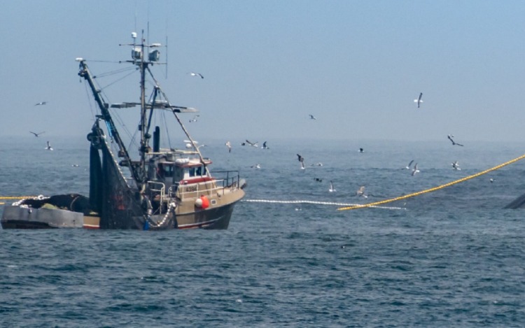 Invitación al Ciclo de comercio, Pesca y sostenibilidad en el mar