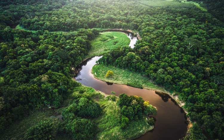 Amazonas en Riesgo