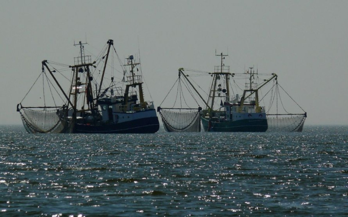 Descarbonización fluvio marítima: el desafío para la industria naval en AL